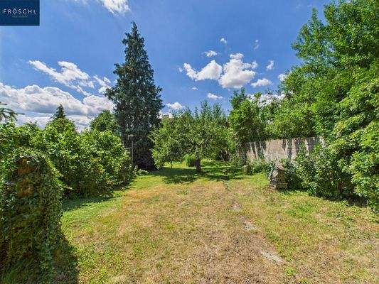 Blick in den Garten Richtung Stadtmauer