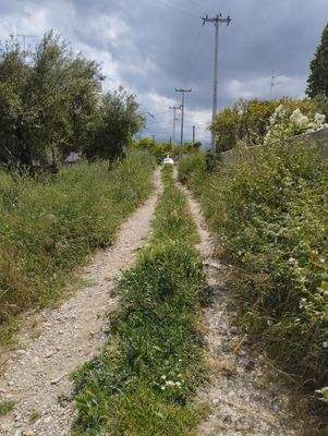 Kreta, Kalyves: Erstaunliches Grundstück im Zentrum von Kalyves zum Verkauf