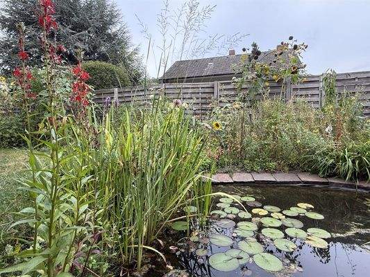 Gartenteich