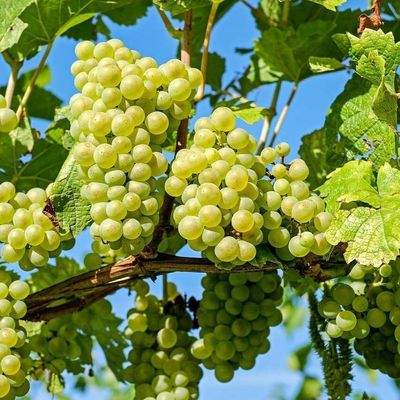 Willkommen in Lindelbach