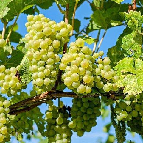 Wertheim Wohnungen, Wertheim Wohnung mieten