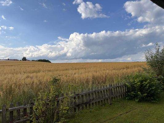 WhatsApp Bild 2025-07-31 um 12.17.23_367a8150.jpg