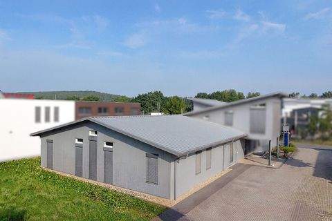 Eggolsheim Halle, Eggolsheim Hallenfläche