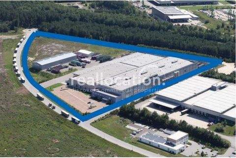 Wackersdorf Halle, Wackersdorf Hallenfläche