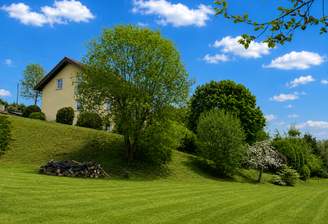 Wiesenblick