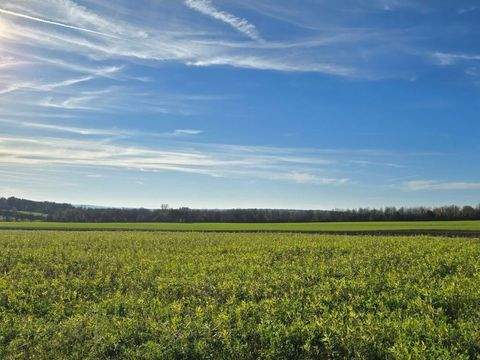Trier / Biewer Grundstücke, Trier / Biewer Grundstück kaufen