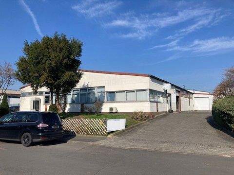 Fulda Halle, Fulda Hallenfläche