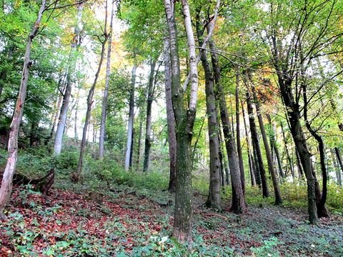 Burgkirchen an der Alz / Gufflham Bauernhöfe, Landwirtschaft, Burgkirchen an der Alz / Gufflham Forstwirtschaft