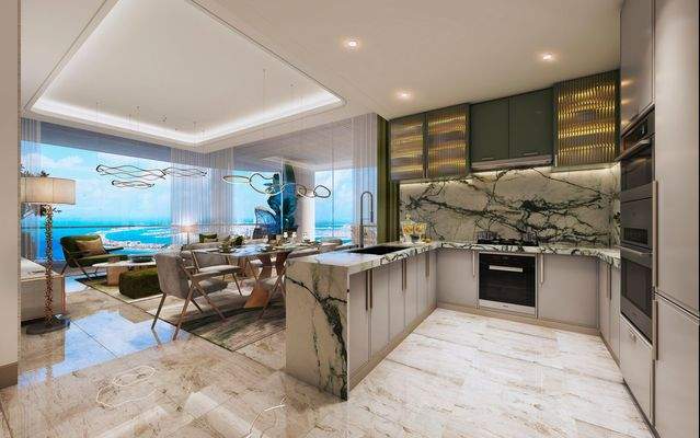 Luxury Kitchen