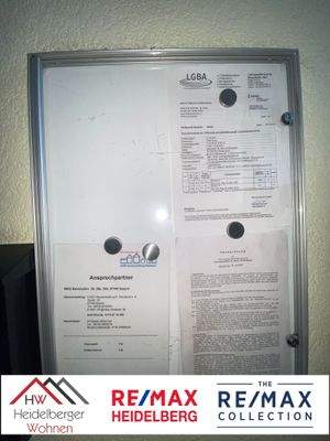 WhatsApp Image 2026-02-10 at 12.03.36 (1)