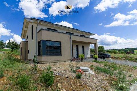 Billigheim / Waldmühlbach Häuser, Billigheim / Waldmühlbach Haus kaufen