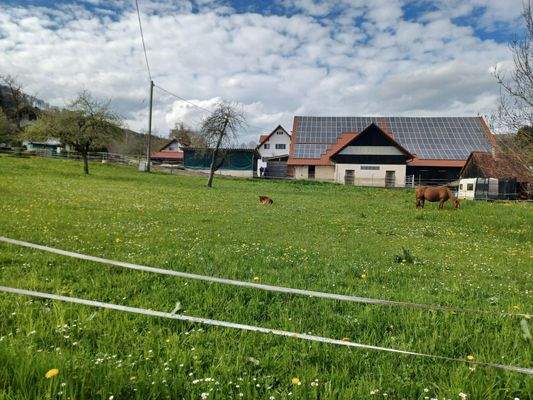 Die Natur vor der Haustüre
