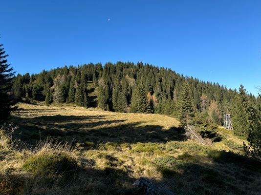 IMG_9008.JPG