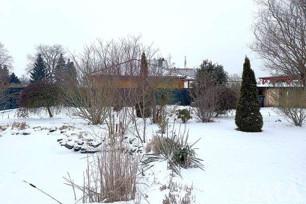 Winteraufnahme Garten