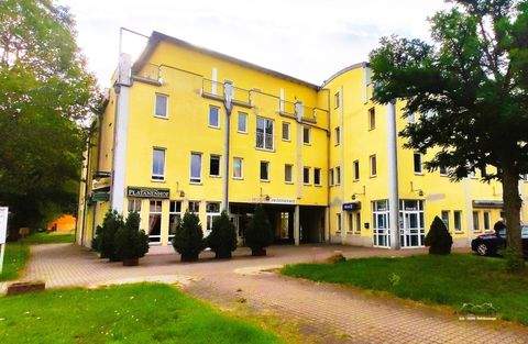 Zschornewitz Halle, Zschornewitz Hallenfläche