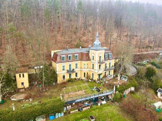 Drohne, Vorderansicht