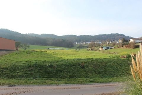Schankweiler Grundstücke, Schankweiler Grundstück kaufen