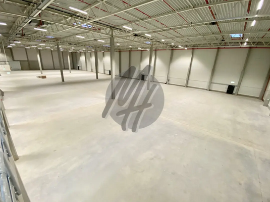 INFOS UNTER: 06171-586000