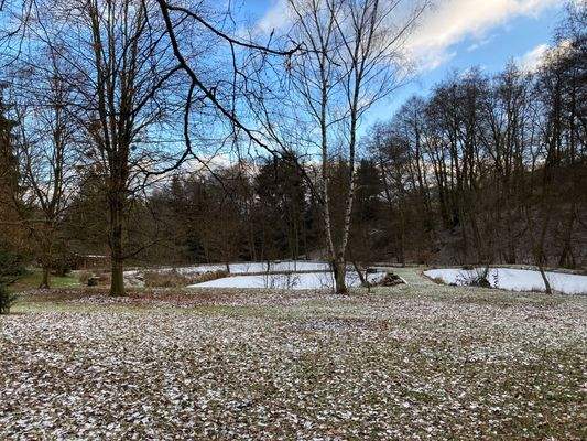 Teiche im Winter.jpg