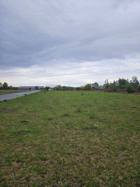 Mühlberg/Elbe Bauernhöfe, Landwirtschaft, Mühlberg/Elbe Forstwirtschaft