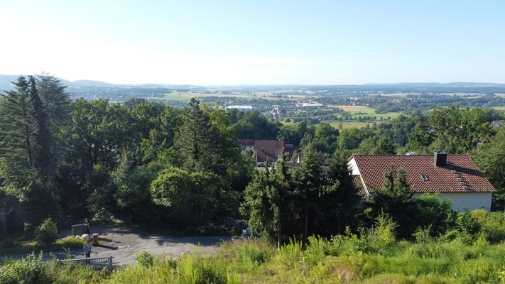 Blick über die Mainauen