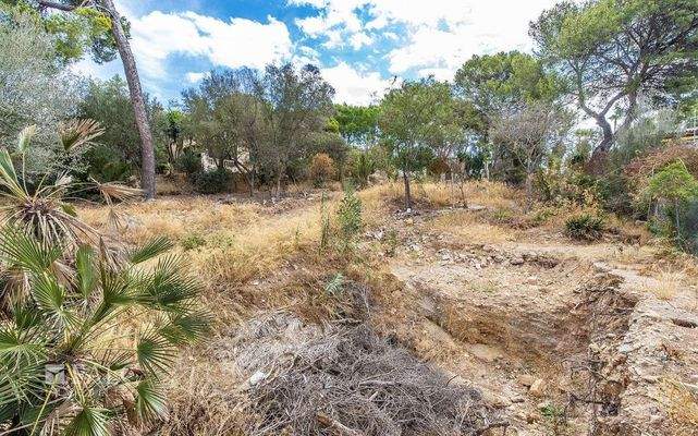 Grundstück-Bendinat-7