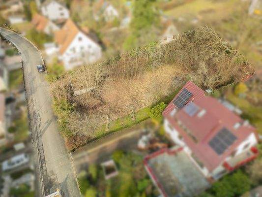 viel Gestaltungsraum