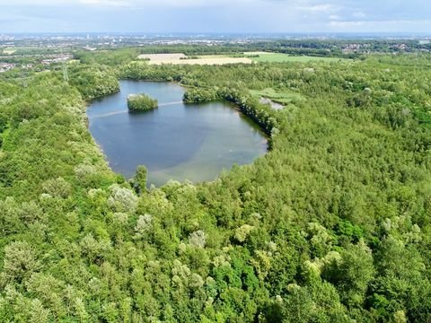 Hürth / Kalscheuren Bauernhöfe, Landwirtschaft, Hürth / Kalscheuren Forstwirtschaft