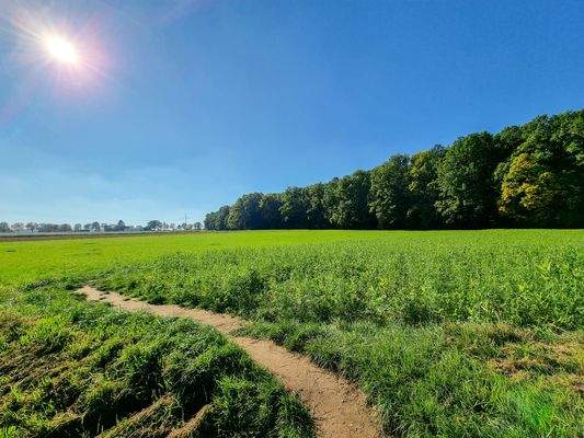 angrenzende Felder und Wiesen