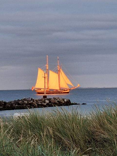 Damp Häuser, Damp Haus kaufen