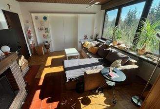 Wohnzimmer mit Kamin