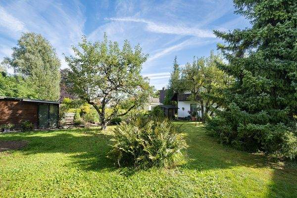 Garten mit Blick aufs Haus