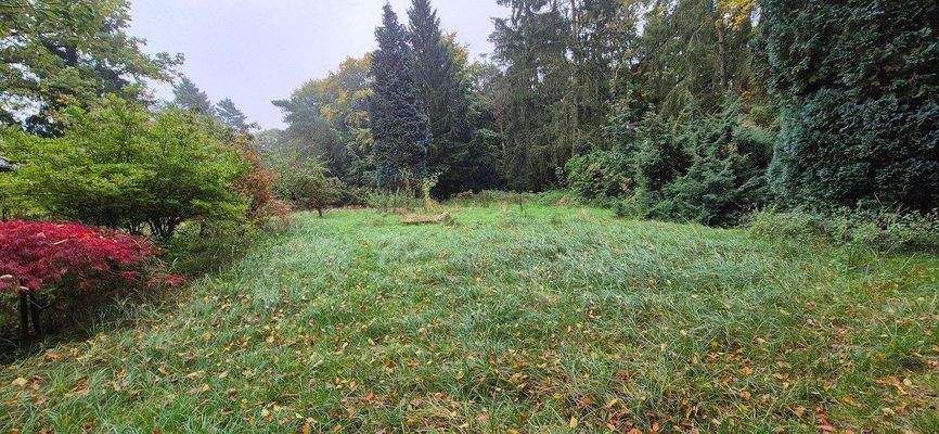 Grundstückansicht  3.jpg