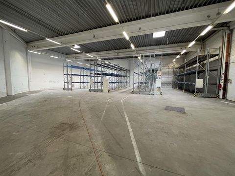 Düsseldorf Halle, Düsseldorf Hallenfläche