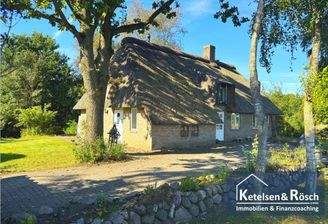 2025226 - Galeriebild