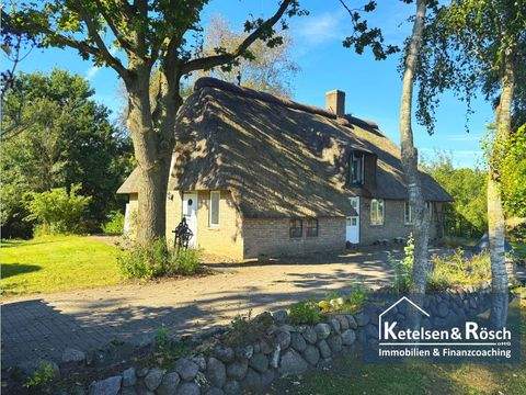 Neukirchen Häuser, Neukirchen Haus kaufen
