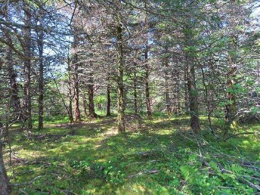 Nova Scotia - Grover?s Point - Atlantik-Grundstück