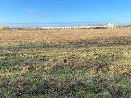 Blick auf das Grundstück