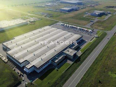 Werneuchen Halle, Werneuchen Hallenfläche