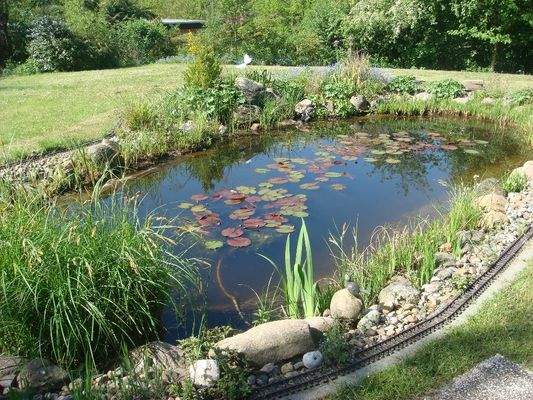 Gartenimpressionen