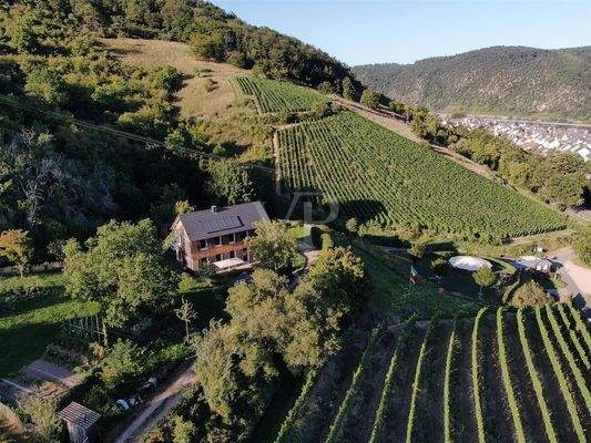 Weinlandschaft mit Charakter und Weitblick
