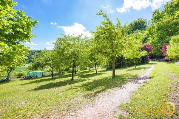 Außenansicht, Streuobstwiese, Garten