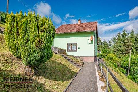 Suhl Häuser, Suhl Haus kaufen