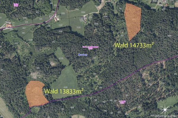 Waldgrundstück Moosburg