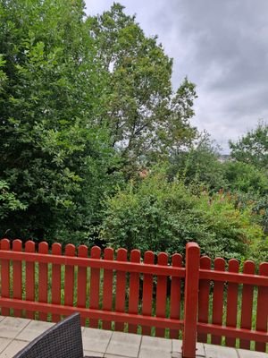 Terrasse Bild 4
