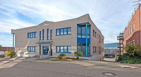 Birkenfeld Halle, Birkenfeld Hallenfläche