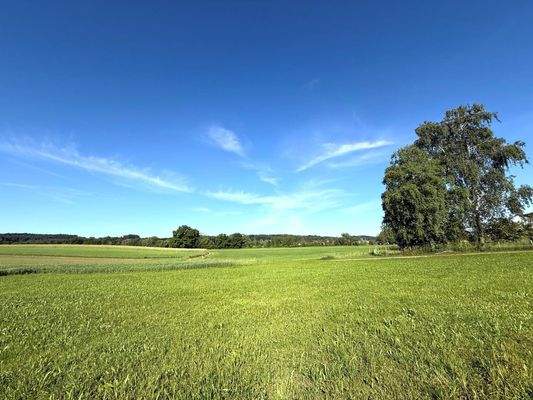 unverbauter freier Blick