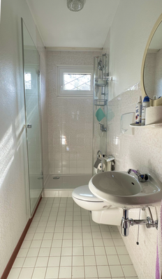 Gäste WC/Dusche Hauptwohnung