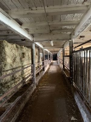 IMG_7568