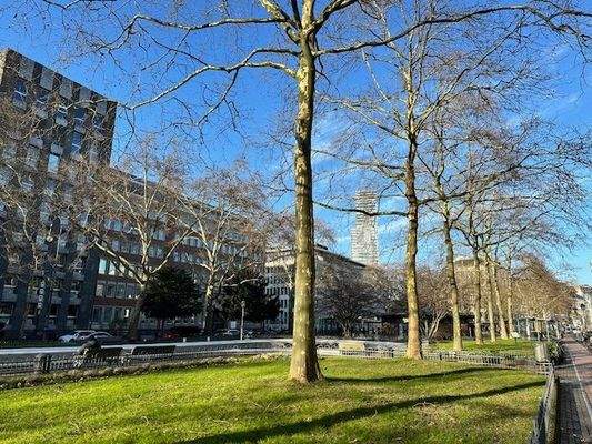 ruhige, Grünlage am Ring